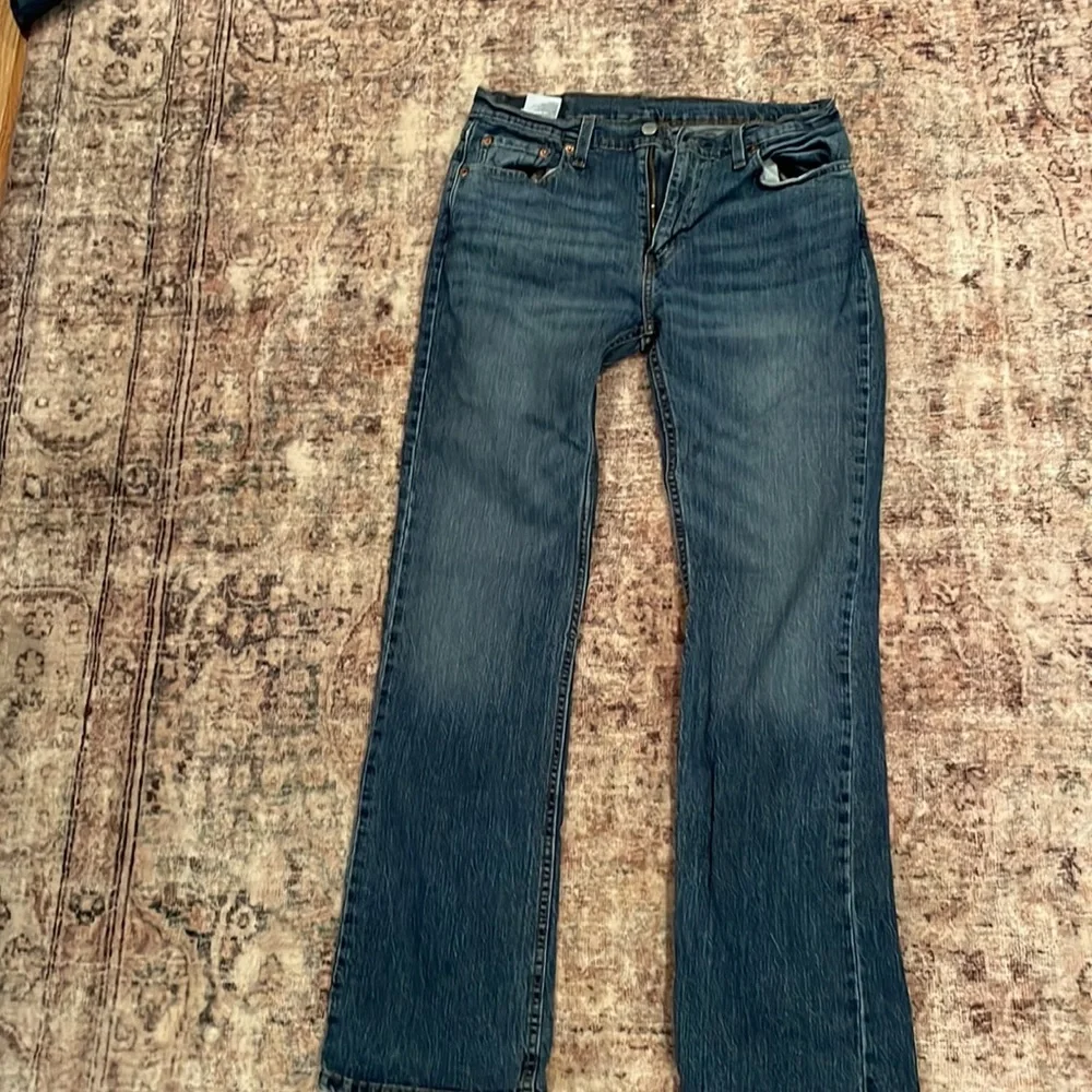 Levi - Picture 3 of 3